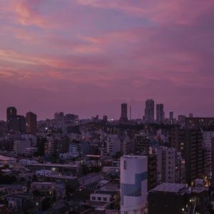 爱酱电影全集免费观看
