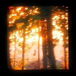 爱酱电影全集免费观看
